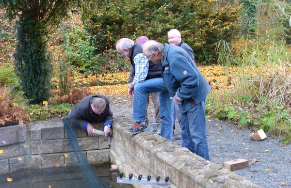 Arbeiten im Herbst